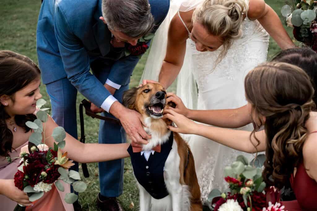 bride and groom celebrating with their dog on their wedding day at a vermont wedding